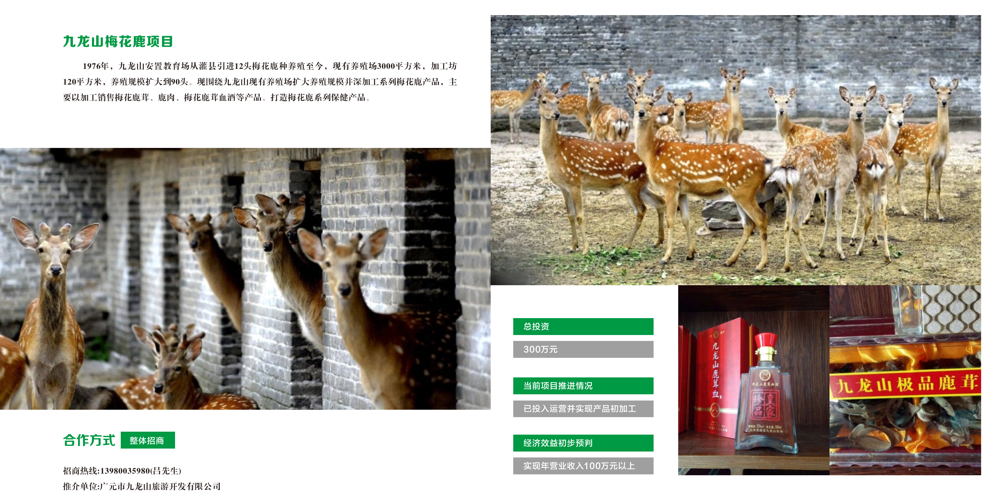 圖片12(1).png